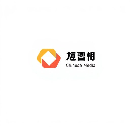 华视传媒 - 星辰电影合作伙伴