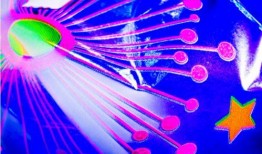 网红大秋千 社会热点素材2025 每日大赛,2025年度社会热点素材每日大赛聚焦焦点